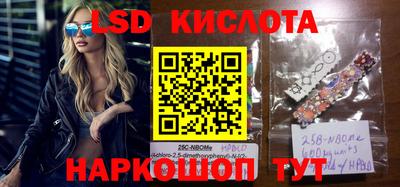 СК Краснодар