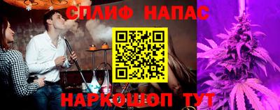 СК Краснодар