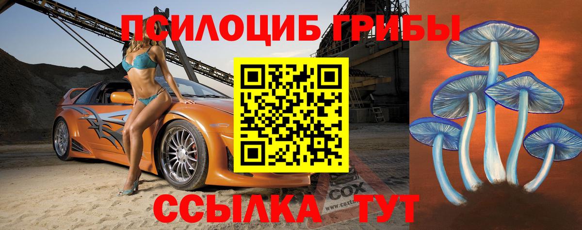 Псилоцибиновые грибы Psilocybe  Вход с VPN  дарнет шоп  Псилоцибиновые грибы ЛСД  Заводоуковск 
