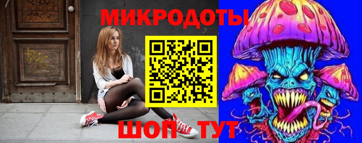 Псилоцибиновые грибы Psilocybe Заводоуковск